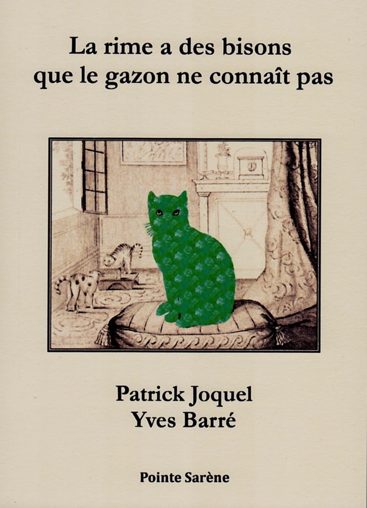 Page de couverture du livre La rime a des bisons que la gazon ne connaît pas de Patrick Joquel